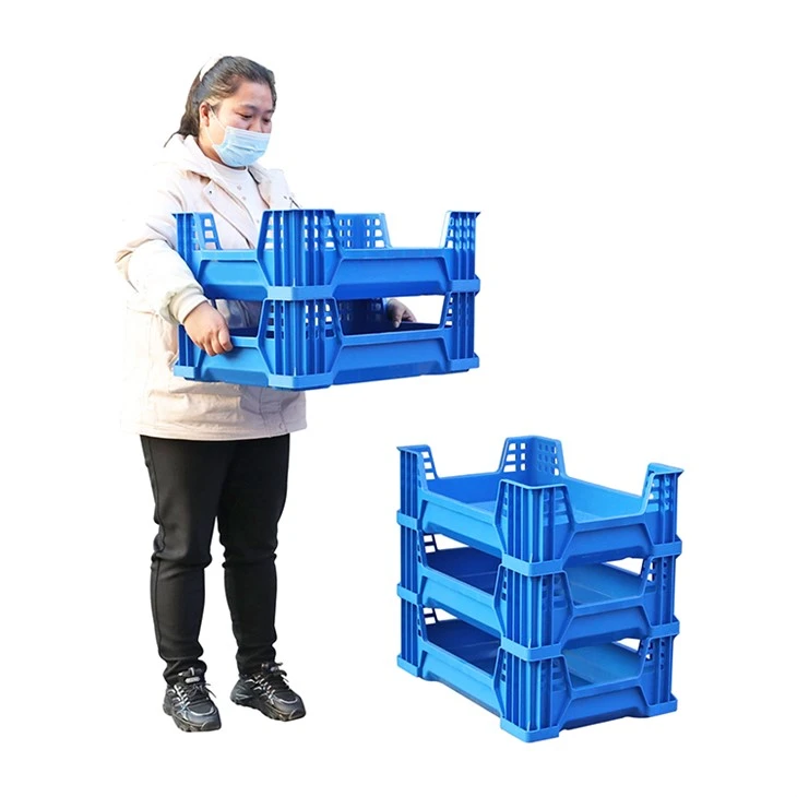 Plastic Insect Breeding Trays BSF Farming factory